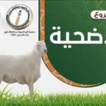 جمعية البر ببارق تعلن عن تحديث بيانات مستفيديها لعام 1442هـ