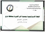 الخطة الاستراتيجية بجمعية البر الخيرية بمحافظة بارق